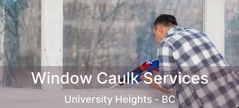  Window Caulk Services University Heights - BC