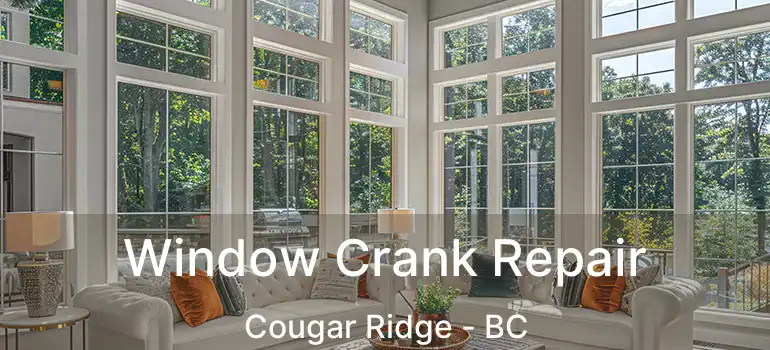  Window Crank Repair Cougar Ridge - BC