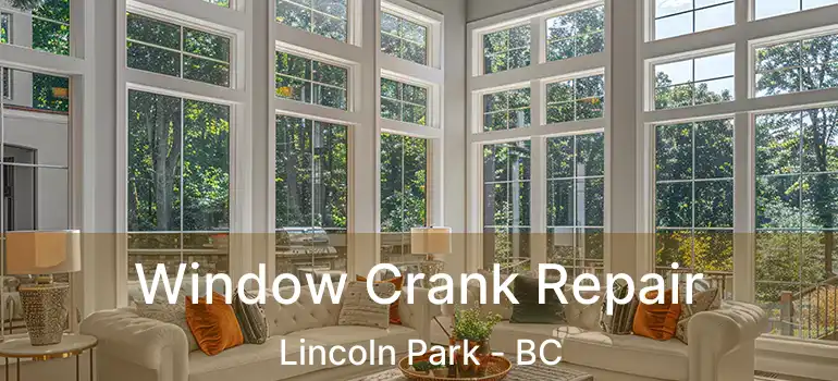  Window Crank Repair Lincoln Park - BC
