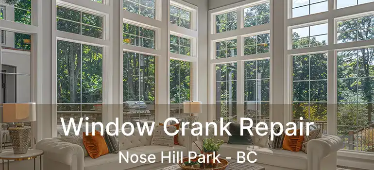  Window Crank Repair Nose Hill Park - BC