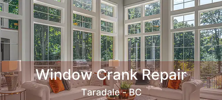  Window Crank Repair Taradale - BC