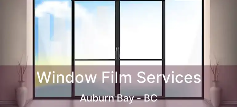  Window Film Services Auburn Bay - BC