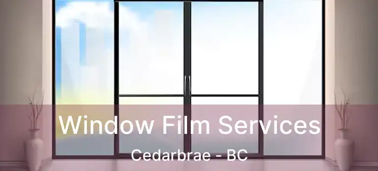  Window Film Services Cedarbrae - BC