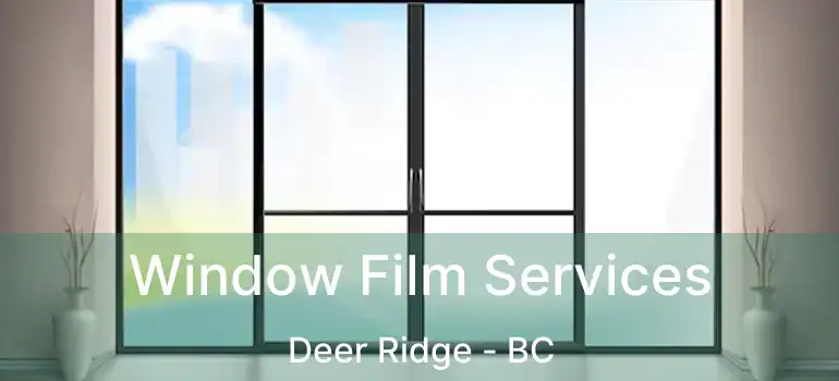  Window Film Services Deer Ridge - BC
