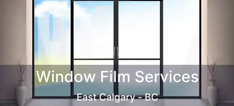  Window Film Services East Calgary - BC