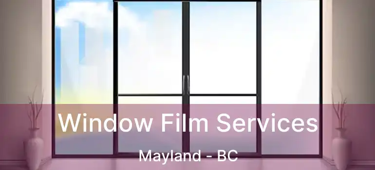  Window Film Services Mayland - BC