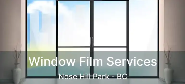  Window Film Services Nose Hill Park - BC