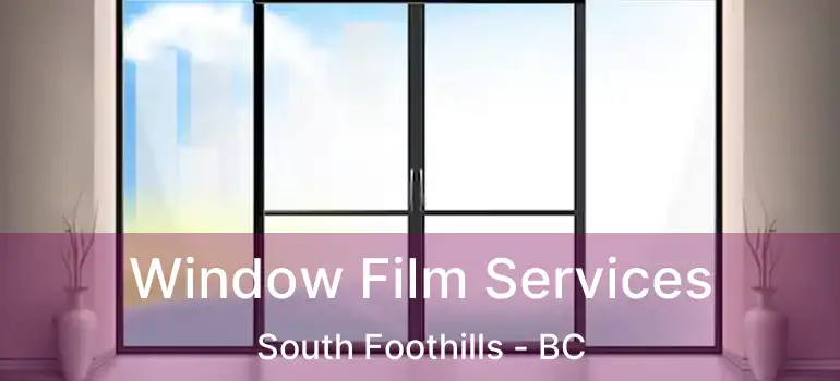  Window Film Services South Foothills - BC