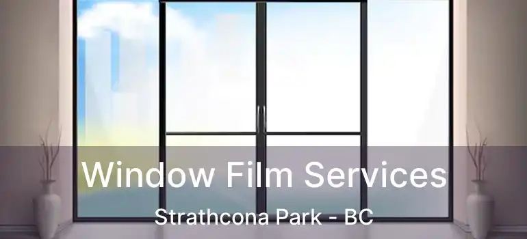  Window Film Services Strathcona Park - BC