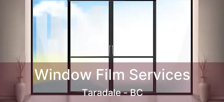  Window Film Services Taradale - BC