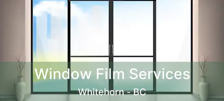 Window Film Services Whitehorn - BC