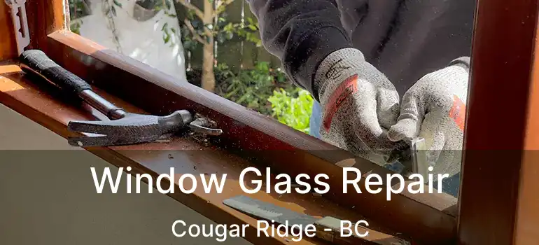  Window Glass Repair Cougar Ridge - BC