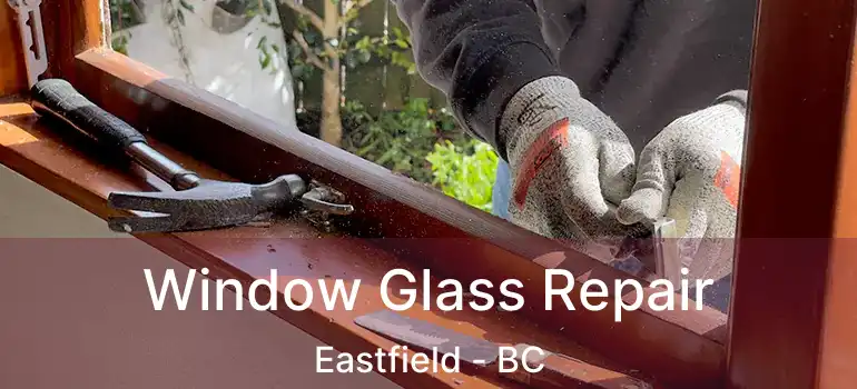  Window Glass Repair Eastfield - BC