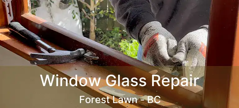  Window Glass Repair Forest Lawn - BC