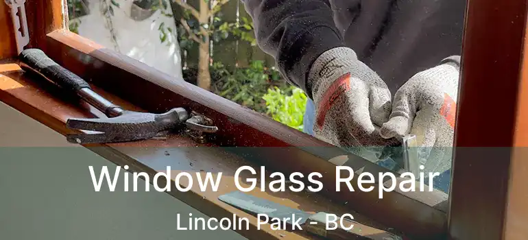  Window Glass Repair Lincoln Park - BC