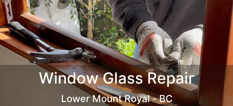  Window Glass Repair Lower Mount Royal - BC