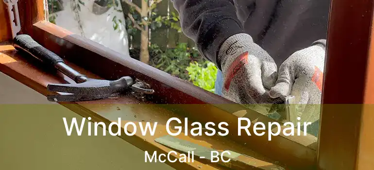  Window Glass Repair McCall - BC