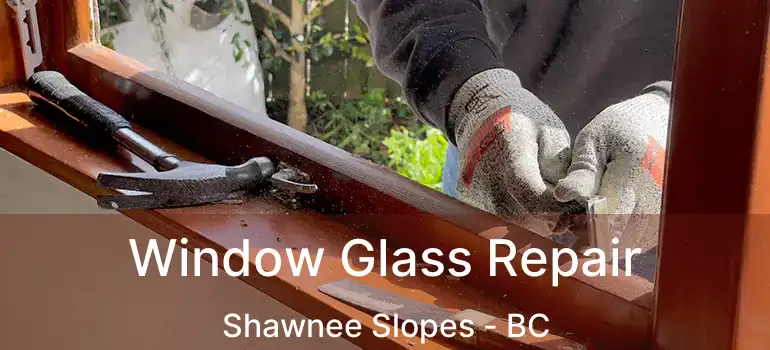  Window Glass Repair Shawnee Slopes - BC
