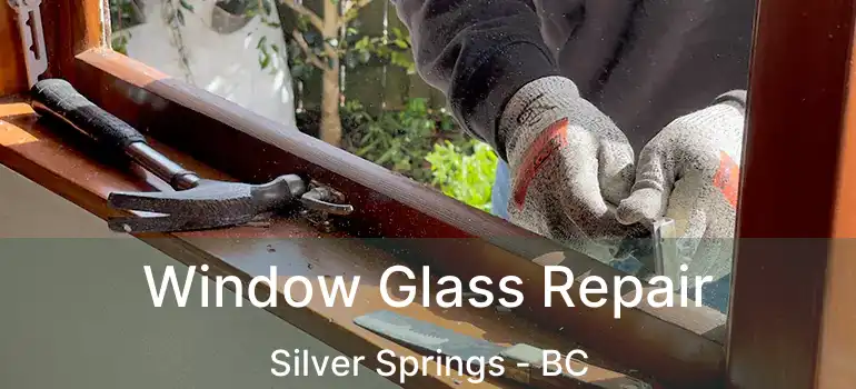  Window Glass Repair Silver Springs - BC