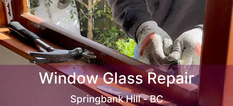  Window Glass Repair Springbank Hill - BC