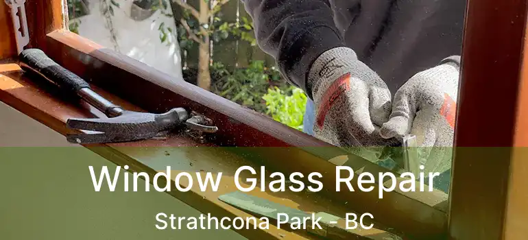  Window Glass Repair Strathcona Park - BC