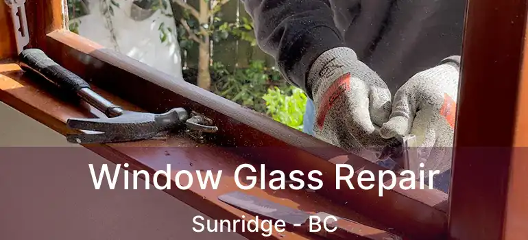  Window Glass Repair Sunridge - BC