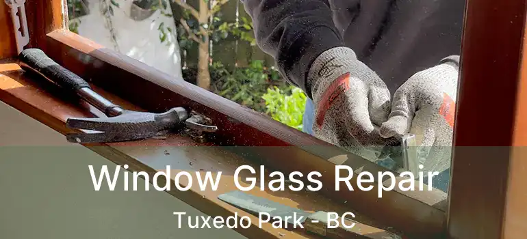  Window Glass Repair Tuxedo Park - BC