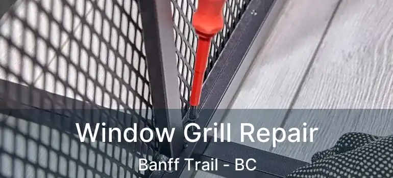  Window Grill Repair Banff Trail - BC