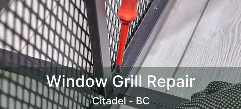  Window Grill Repair Citadel - BC