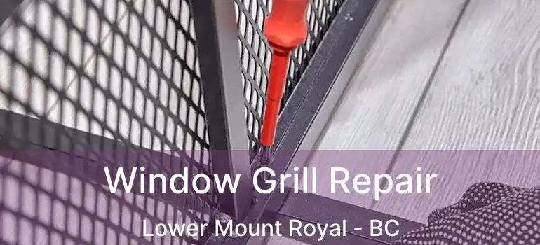  Window Grill Repair Lower Mount Royal - BC