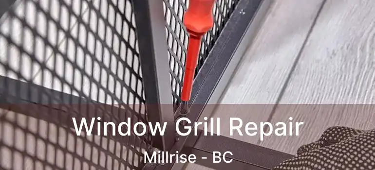  Window Grill Repair Millrise - BC