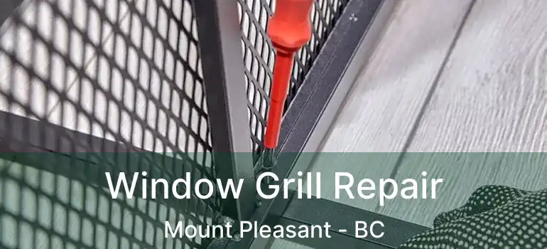  Window Grill Repair Mount Pleasant - BC