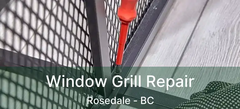  Window Grill Repair Rosedale - BC