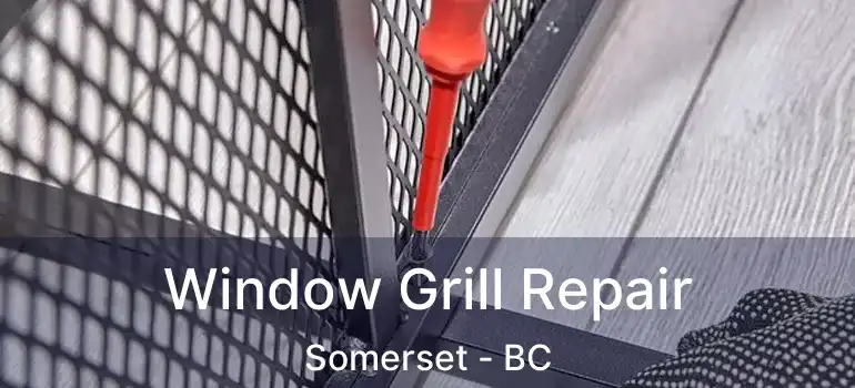  Window Grill Repair Somerset - BC