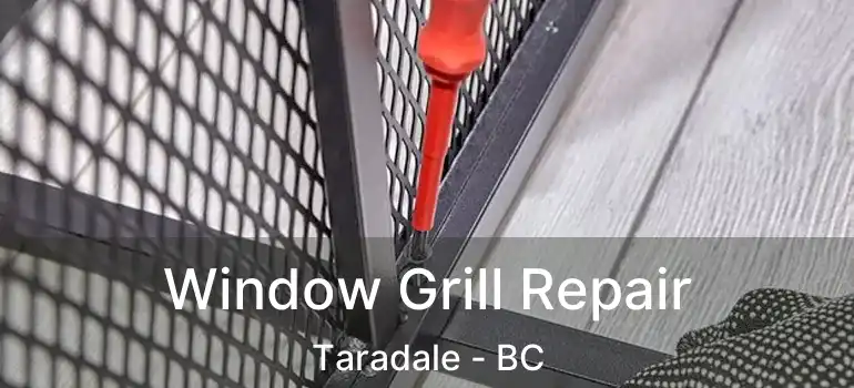  Window Grill Repair Taradale - BC