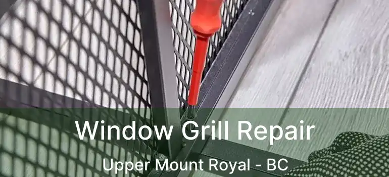  Window Grill Repair Upper Mount Royal - BC