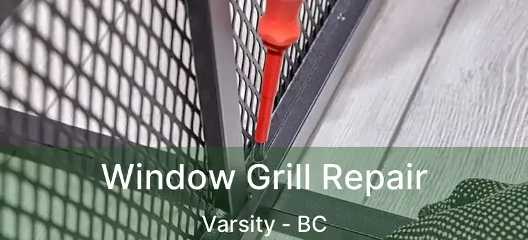  Window Grill Repair Varsity - BC