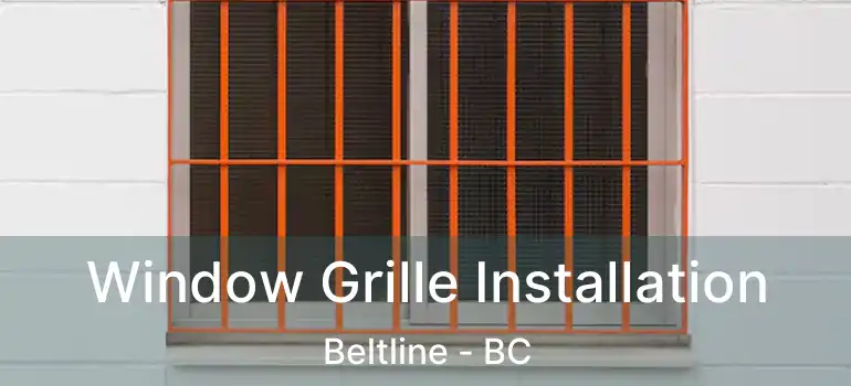  Window Grille Installation Beltline - BC