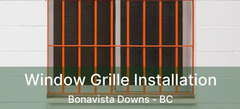  Window Grille Installation Bonavista Downs - BC