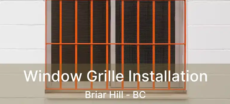 Window Grille Installation Briar Hill - BC