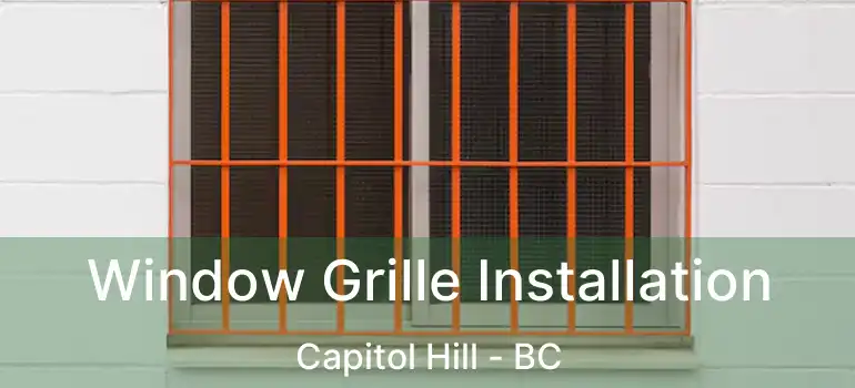  Window Grille Installation Capitol Hill - BC