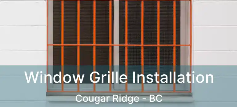  Window Grille Installation Cougar Ridge - BC