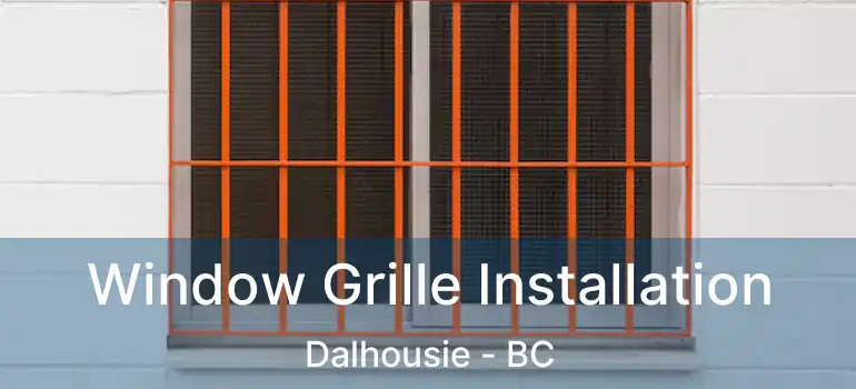  Window Grille Installation Dalhousie - BC