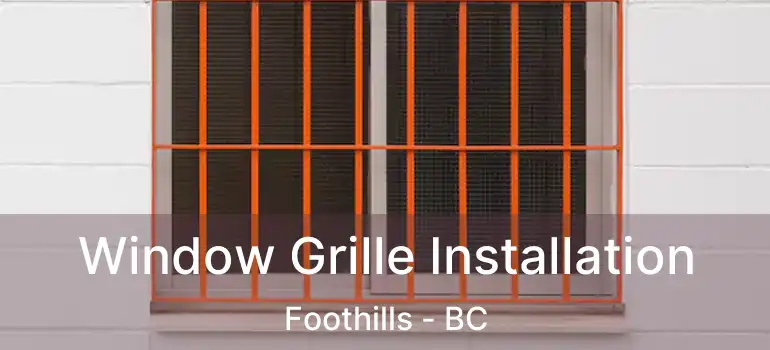  Window Grille Installation Foothills - BC