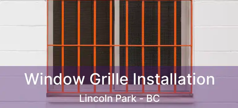  Window Grille Installation Lincoln Park - BC