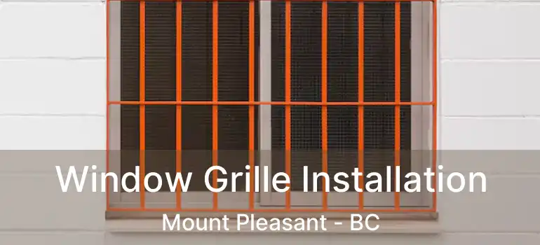  Window Grille Installation Mount Pleasant - BC