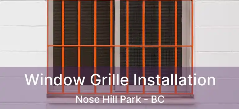  Window Grille Installation Nose Hill Park - BC