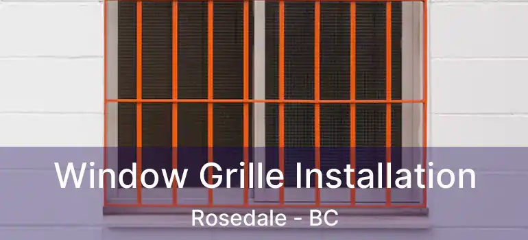  Window Grille Installation Rosedale - BC