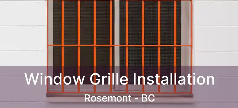  Window Grille Installation Rosemont - BC