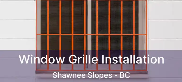  Window Grille Installation Shawnee Slopes - BC